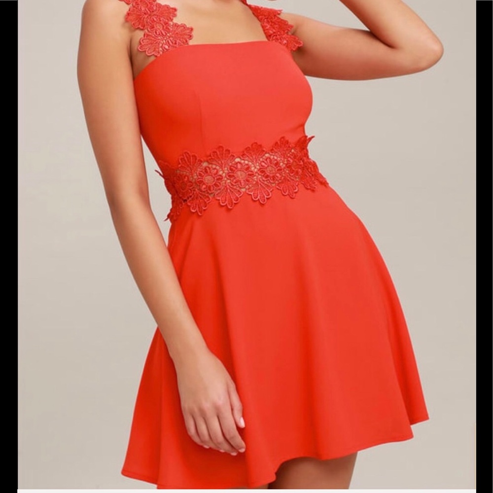 Visual Treat Red Lace Skater Dress